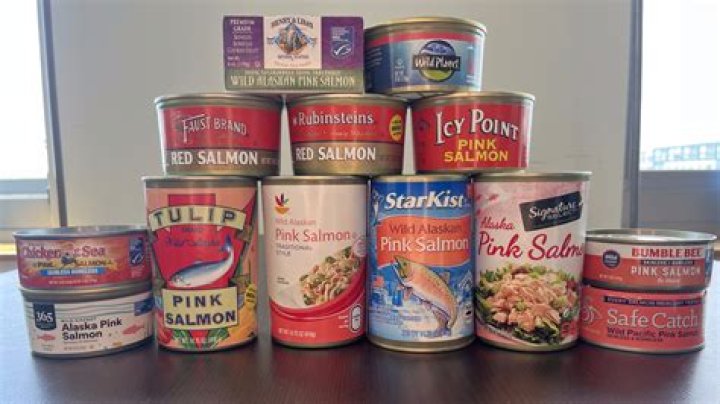 Is canned salmon juice good for cats?