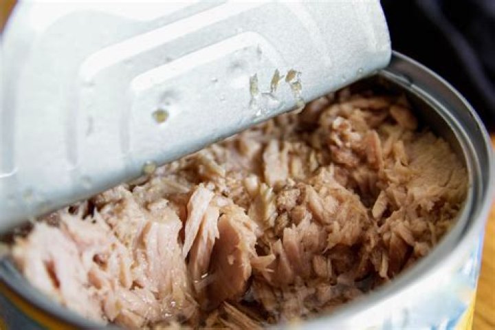 Is canned tuna the same as salmon?