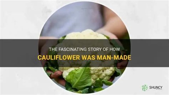 Is cauliflower man made?