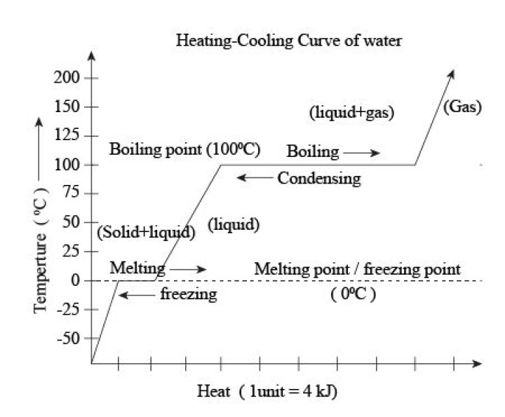 Is chaga warming or cooling?