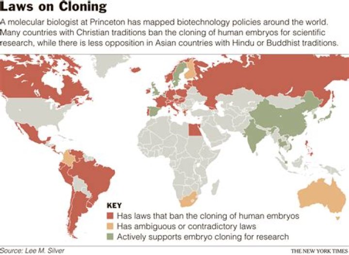 Is cloning illegal?