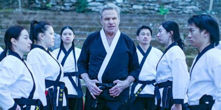 Is Cobra Kai Japanese or Chinese?