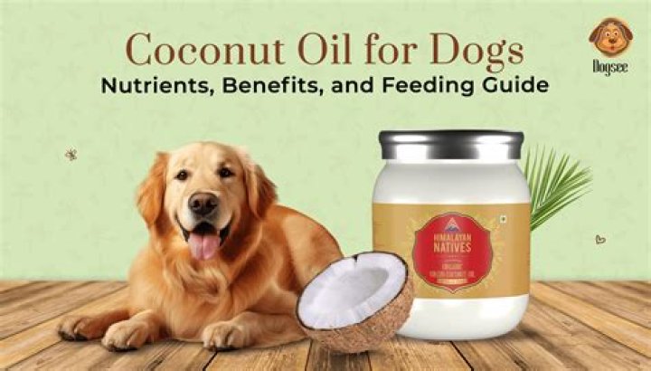 Is coconut oil good for burn scars?