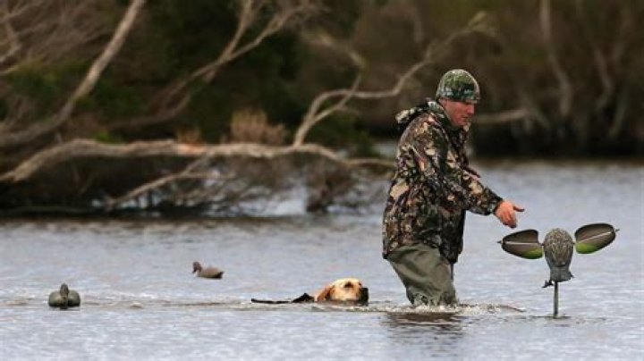 Is cold weather good for duck hunting?
