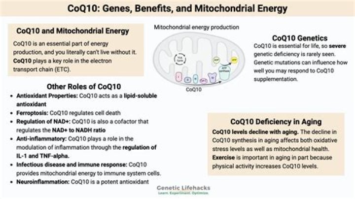 Is CoQ10 anti-inflammatory?