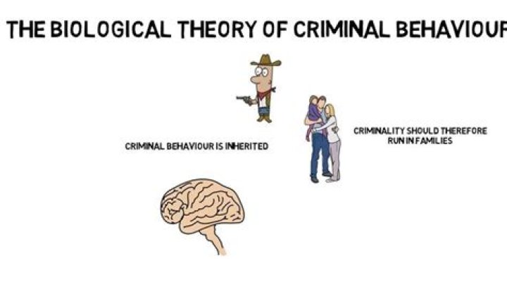 Is criminal behavior biologically determined?