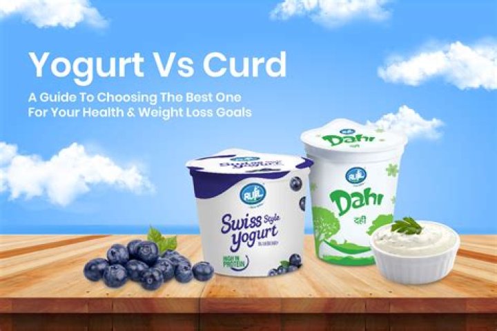 Is curd and yoghurt same?