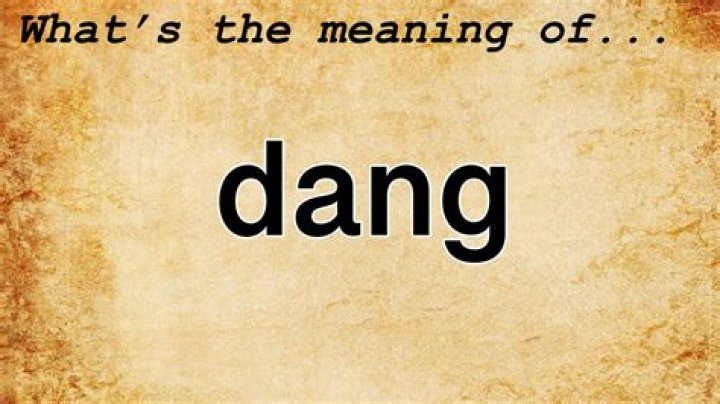Is Dang a swear word?