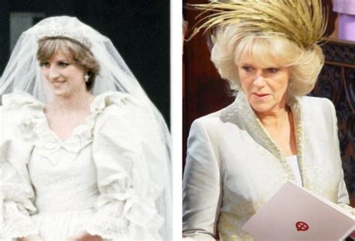 Is Diana's mother related to Camilla?