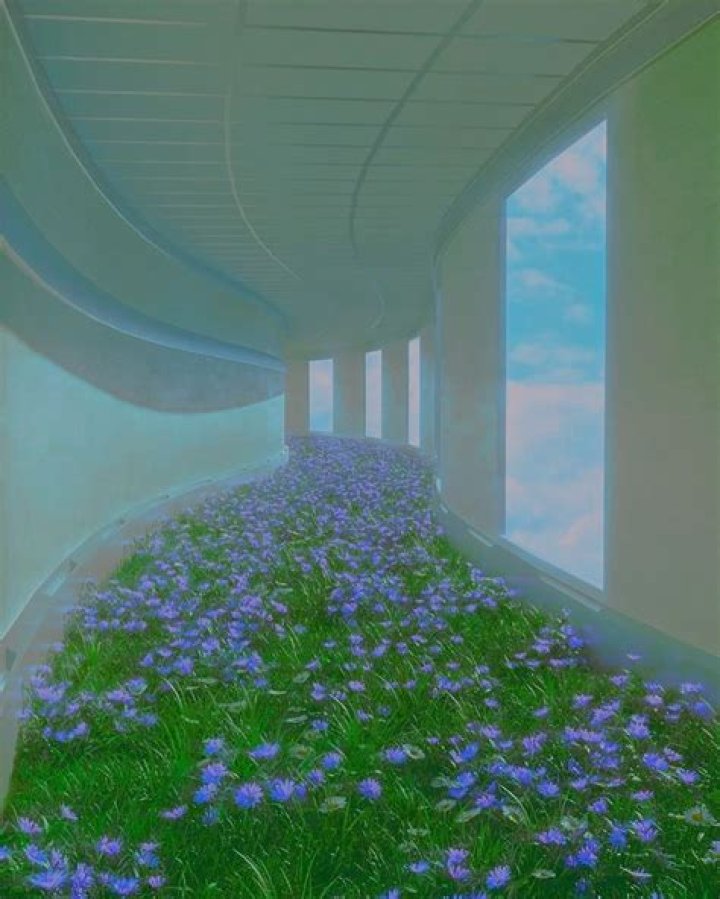 Is Dreamcore an aesthetic?