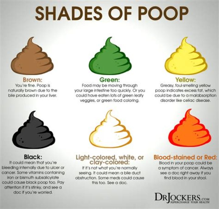 Is eating poop good for you?