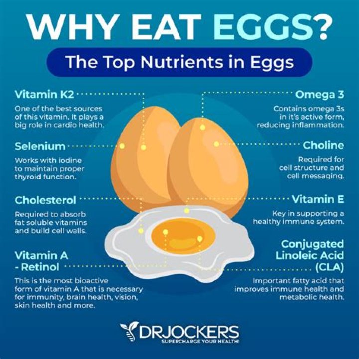 Is Egg good for lupus?