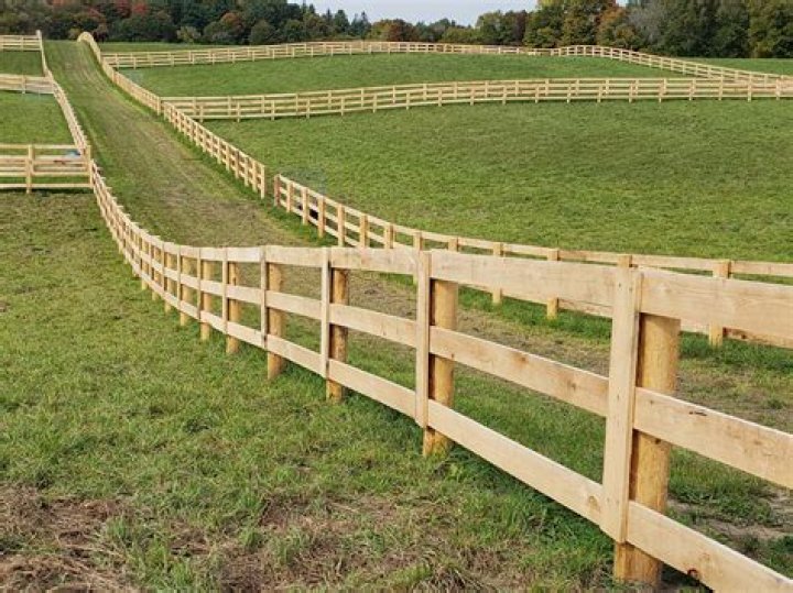 Is field fence OK for horses?