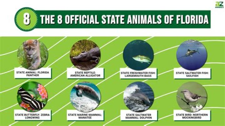 Is Florida an at will state?