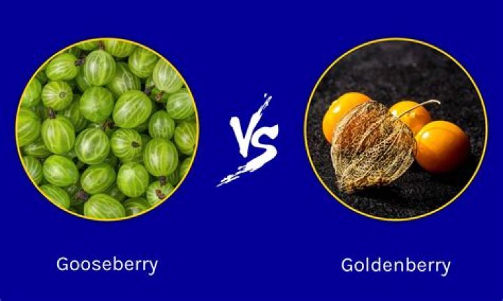 Is Gooseberry a berry?