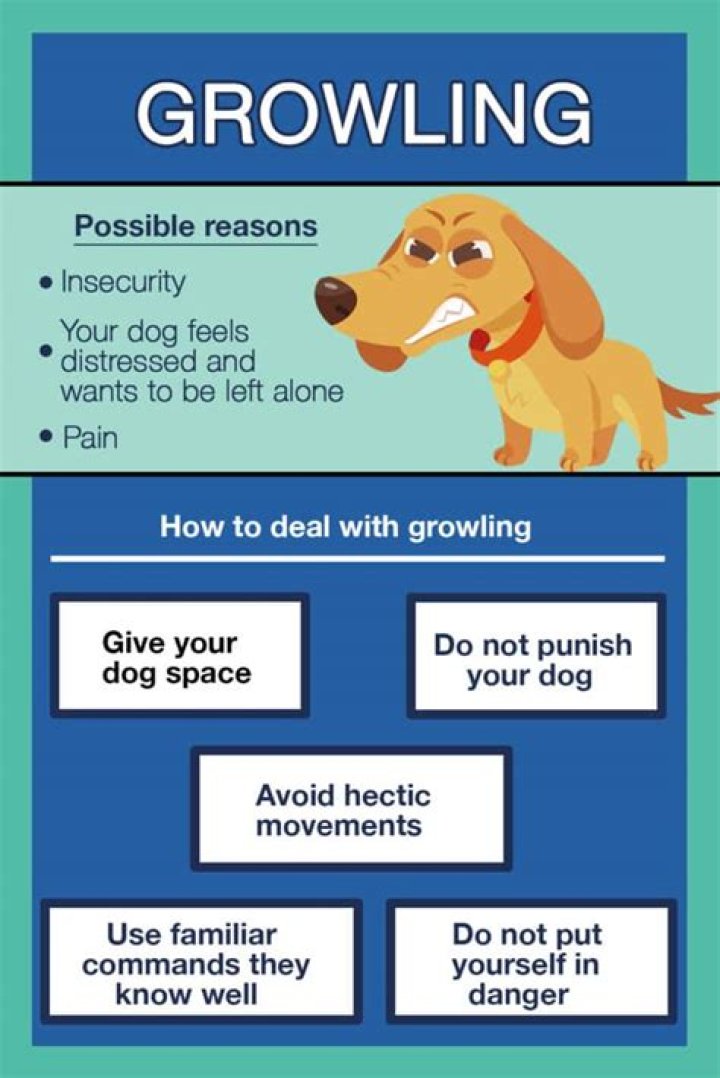 Is growling during play OK?