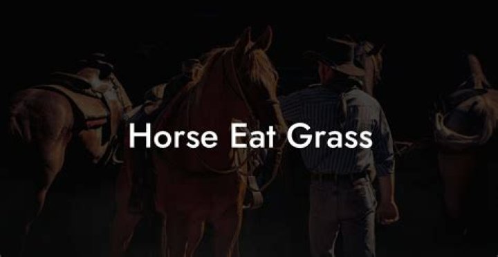 Is horse good to eat?