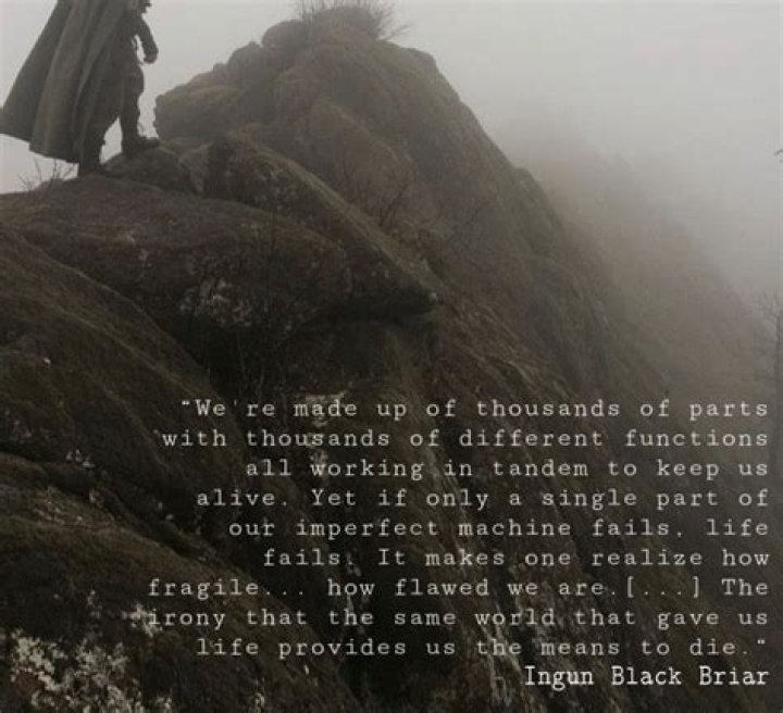 Is Ingun Black Briar marriage?