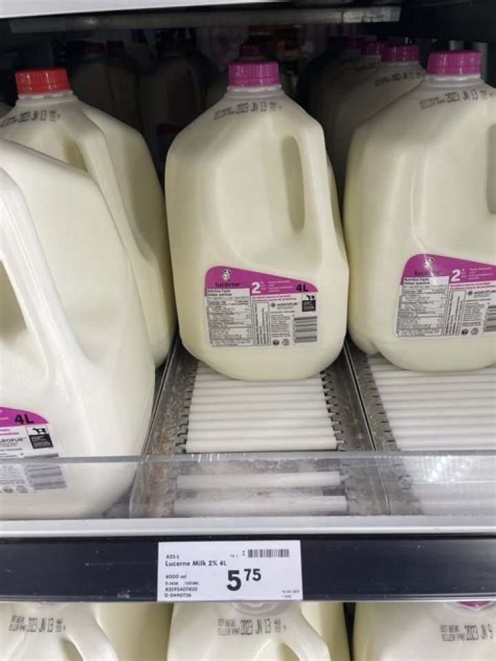 Is it better to buy milk in plastic containers or cartons?