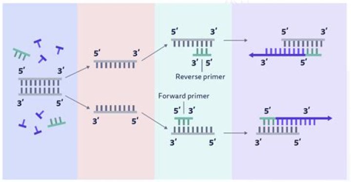 Is it OK for primer to be streaky?