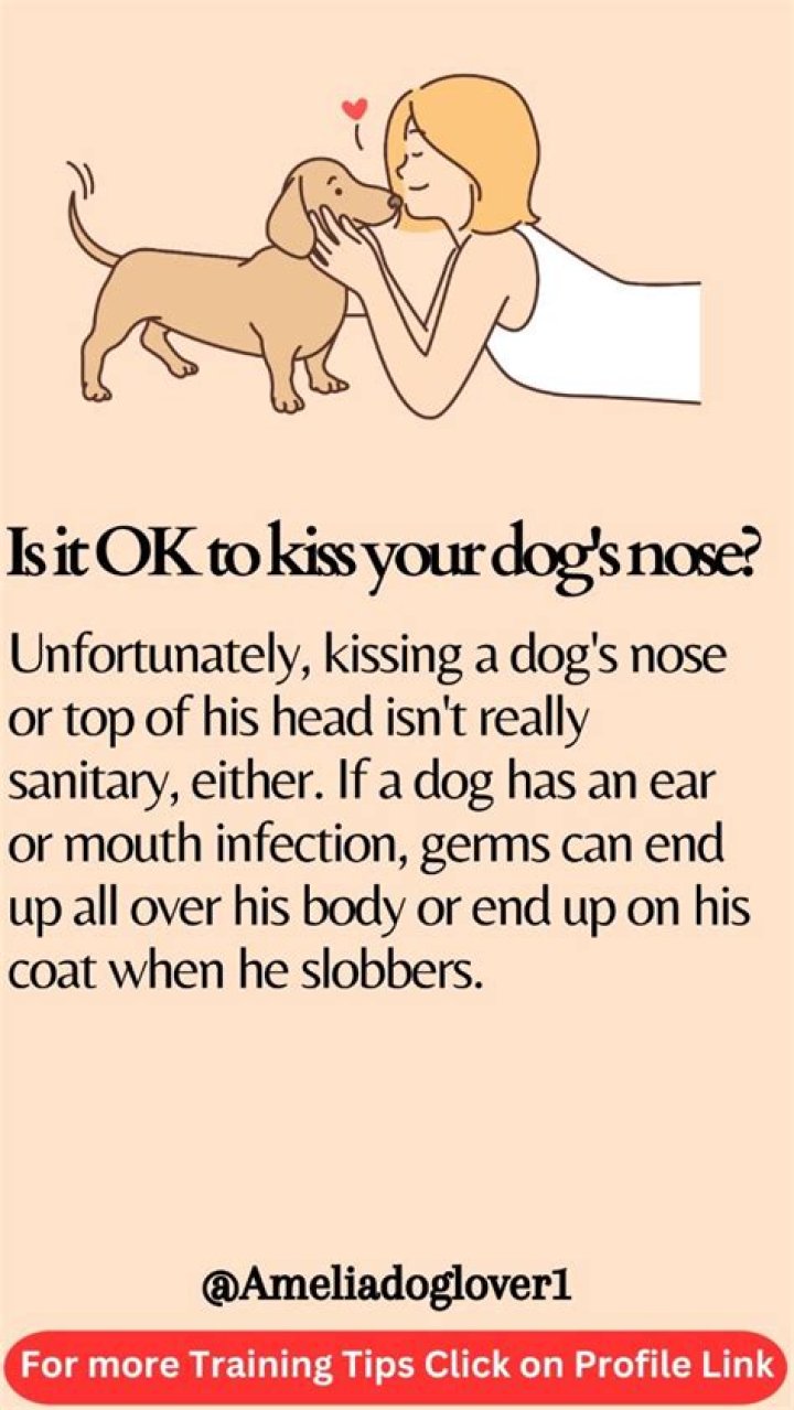 Is it OK to kiss your dog on the nose?