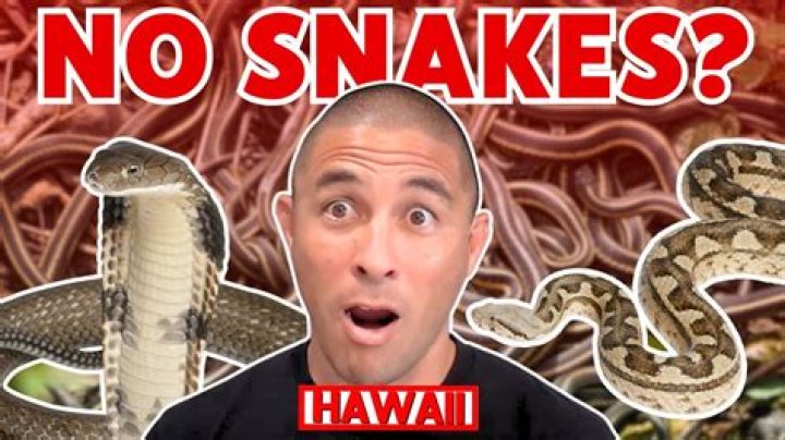 Is it true that Hawaii has no snakes?