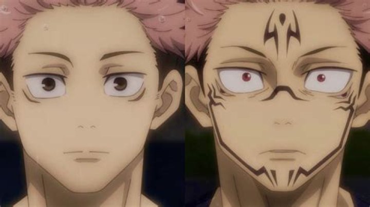 Is Itadori Yuji a cursed womb?