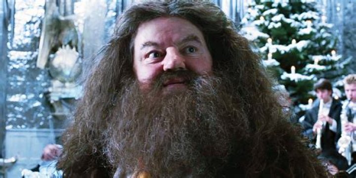 Is Jacob Kowalski related to Hagrid?