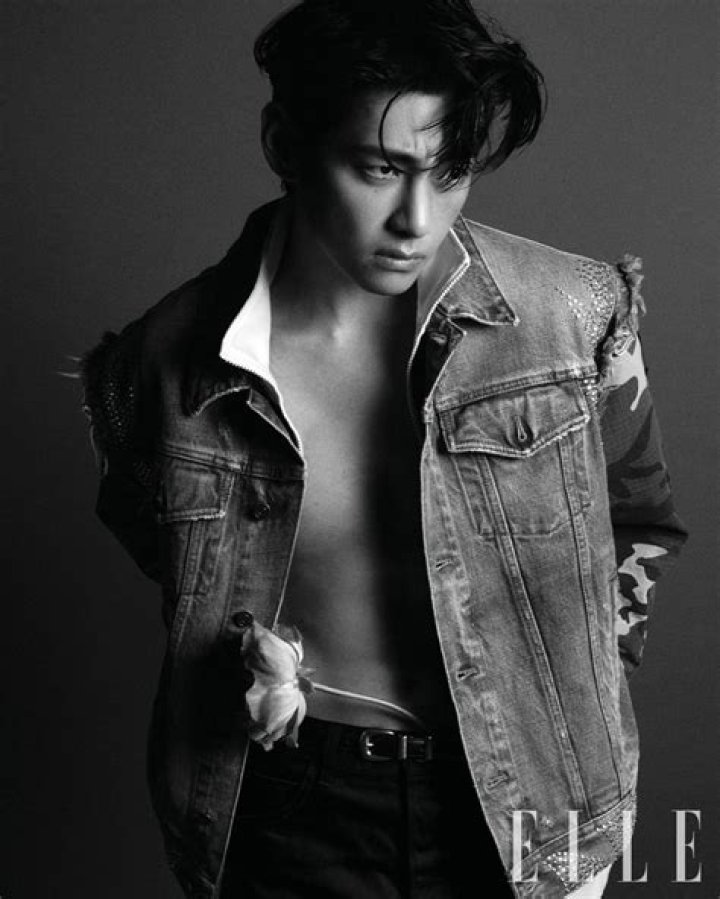 Is Kim Taehyung a Gucci model?