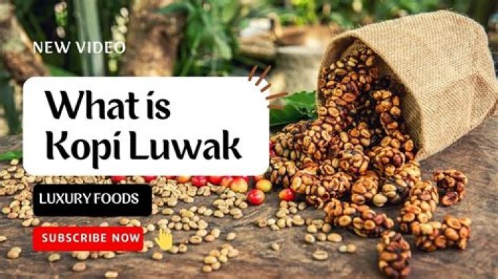 Is kopi luwak made in India?