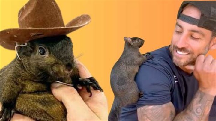 Is Kylie Bearse leaving?