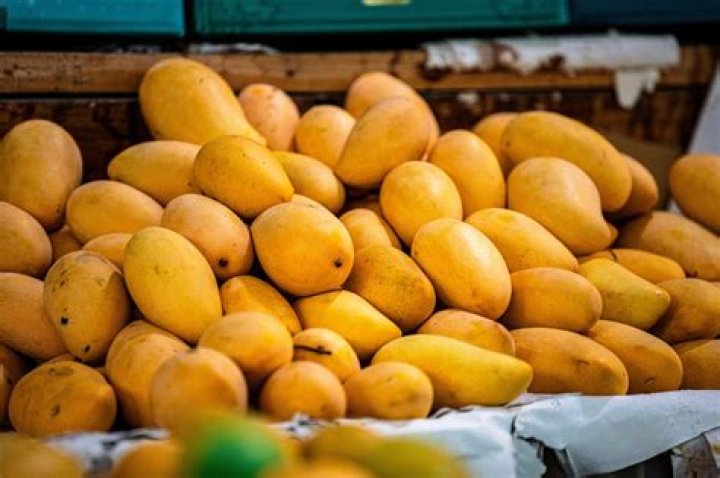 Is mango a stone fruit?