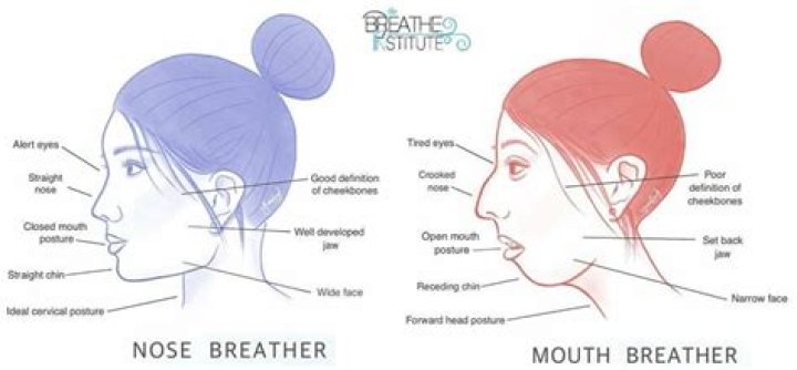 Is nose breathing better?