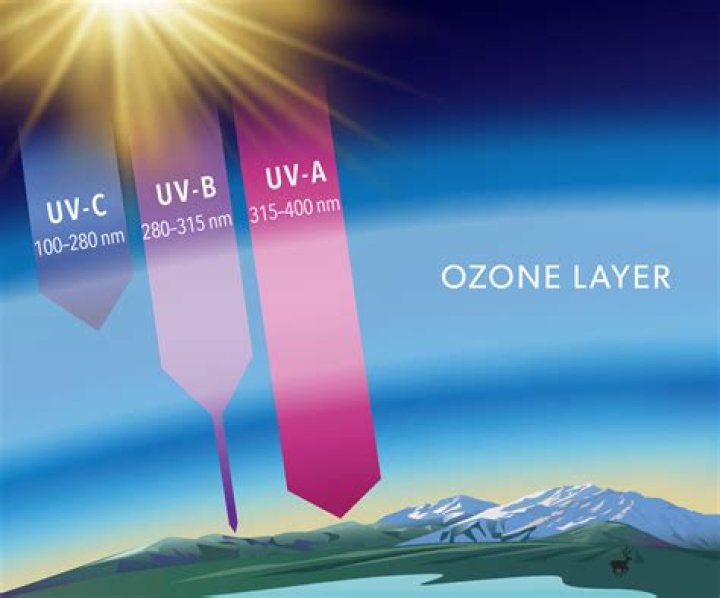 Is ozone from UV-C light harmful?