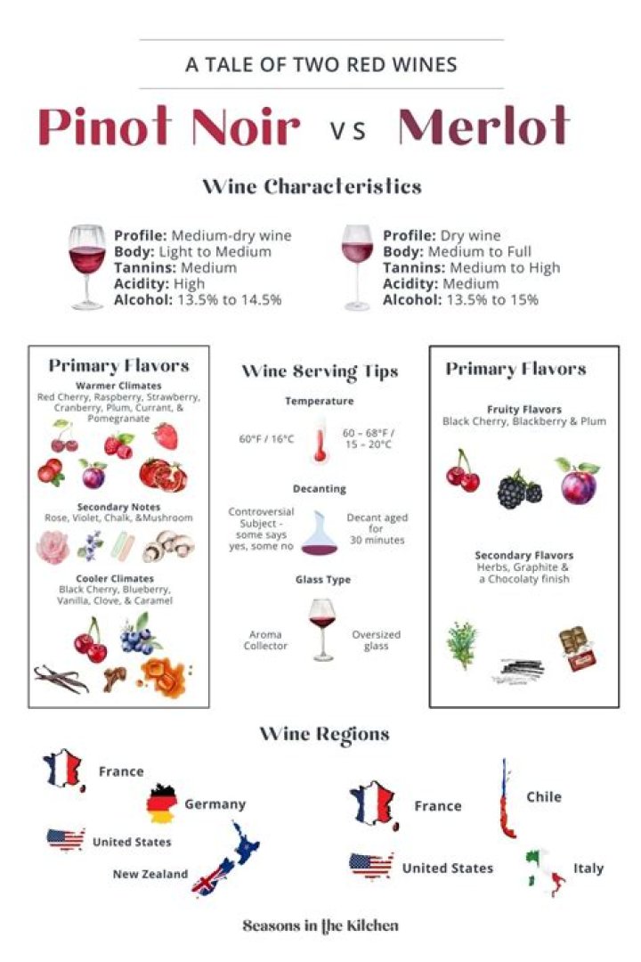 Is Pinot Noir like a Merlot?