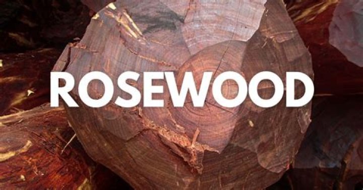 Is rosewood going extinct?
