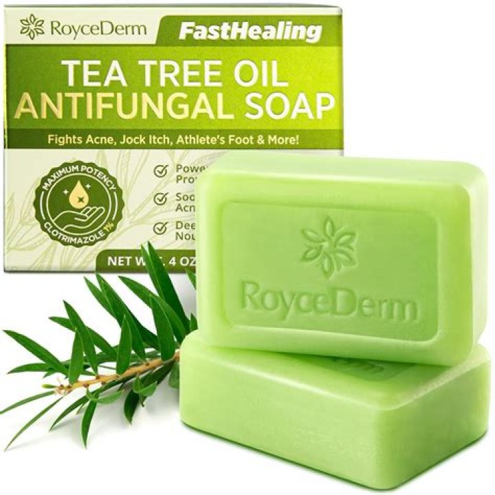 Is tea tree soap good for boils?