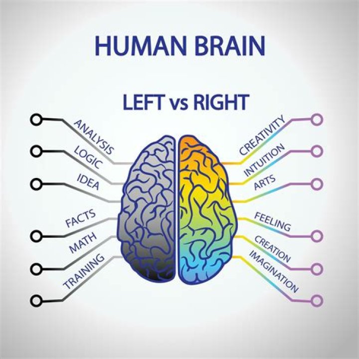 Is the right brain more emotional?