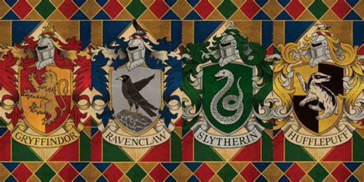 Is there a 5th Hogwarts house?