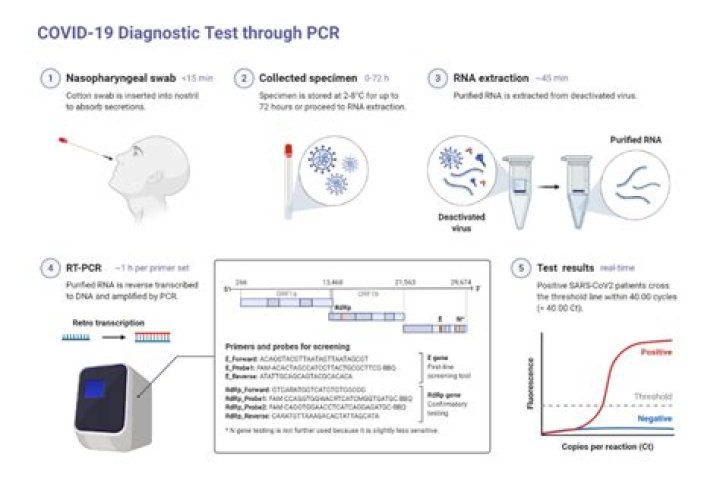 Is there a rapid PCR test for Covid?