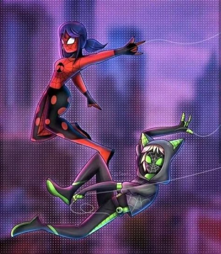 Is there a spider miraculous?