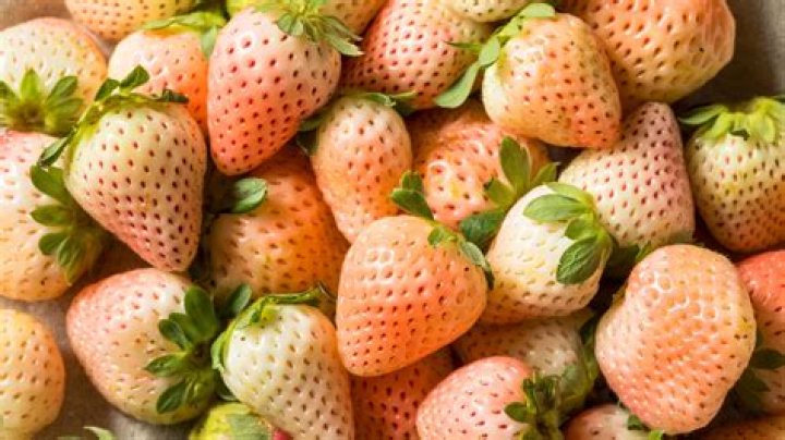 Is there a white strawberry?