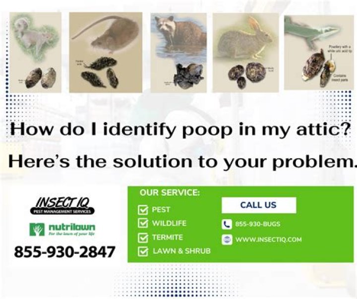 Is there an app to identify animal poop?