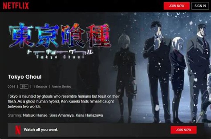 Is Tokyo Ghoul still on Netflix?
