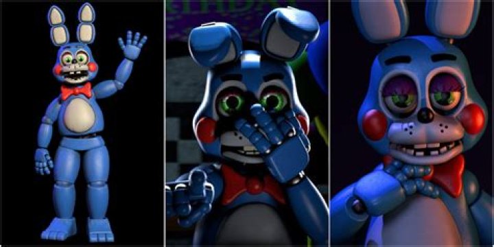 Is Toy Bonnie a boy or a girl?