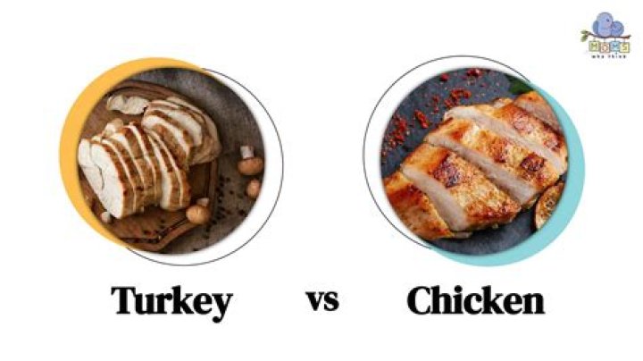 Is turkey a clean meat?