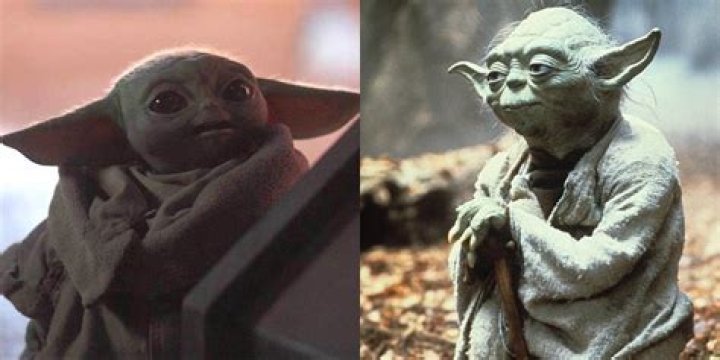 Is Yoda Baby Yoda's dad?