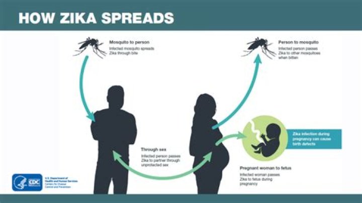 Is Zika still a threat 2019?