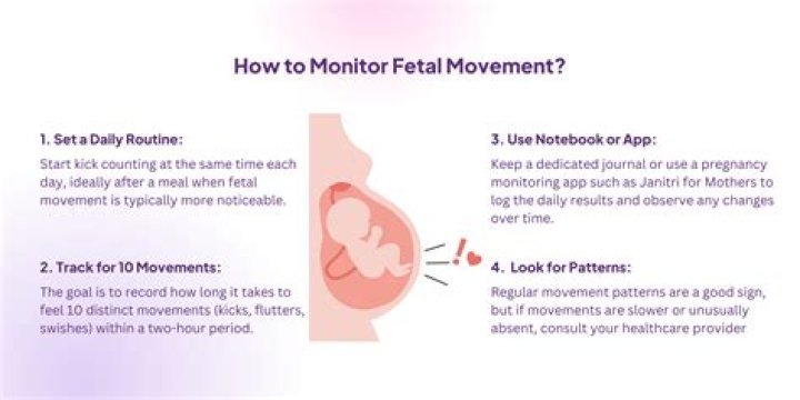 Should baby move every hour?