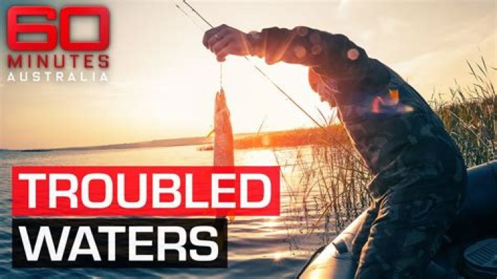 Should fishing be banned?